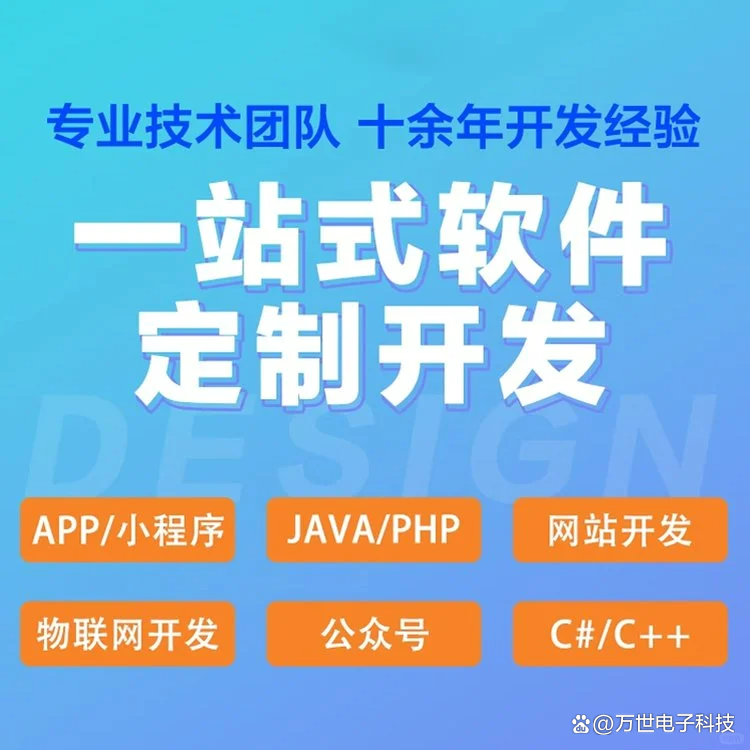 望城软件开发